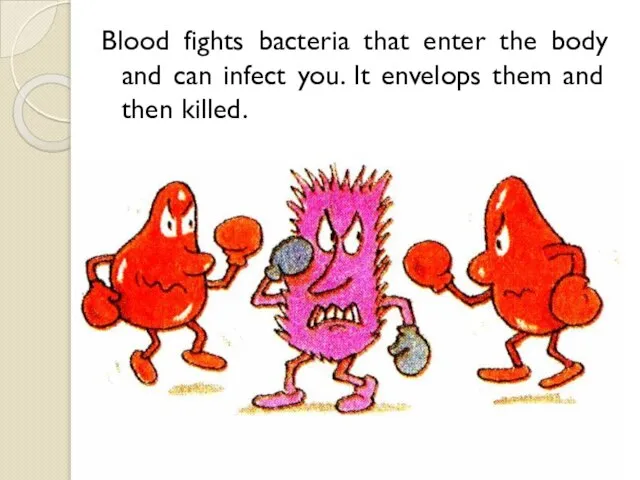 Blood fights bacteria that enter the body and can infect you. It