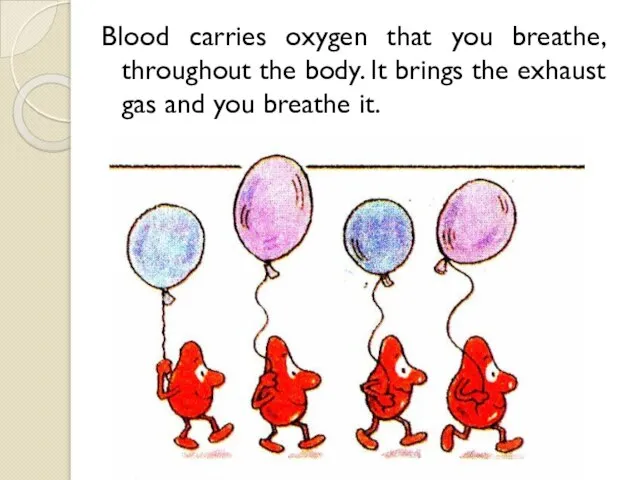 Blood carries oxygen that you breathe, throughout the body. It brings the