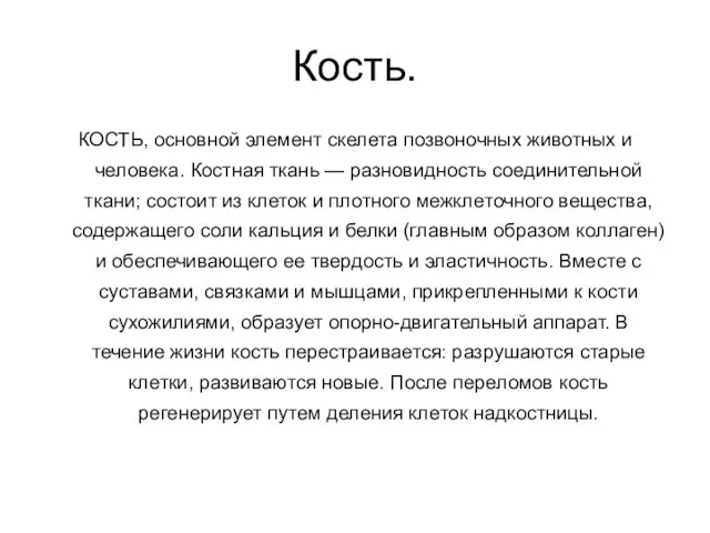 Кость. КОСТЬ, основной элемент скелета позвоночных животных и человека. Костная ткань —