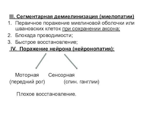 III. Сегментарная демиелинизация (миелопатии) Первичное поражение миелиновой оболочки или швановских клеток при