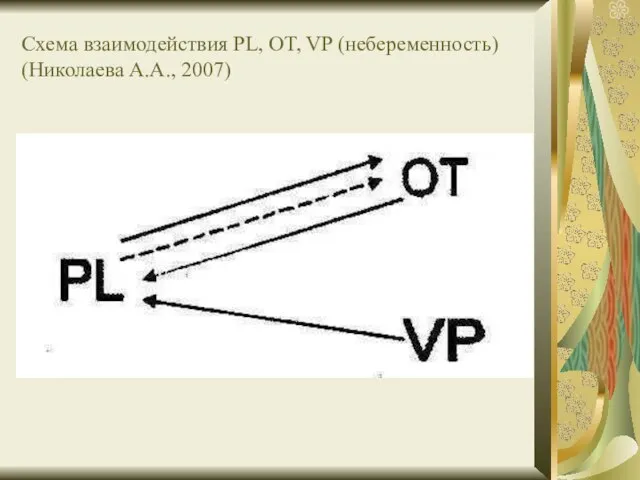 Схема взаимодействия PL, OT, VP (небеременность) (Николаева А.А., 2007)