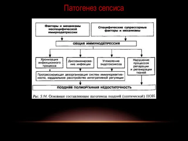 Патогенез сепсиса