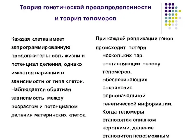 Теория генетической предопределенности и теория теломеров Каждая клетка имеет запрограммированную продолжительность жизни