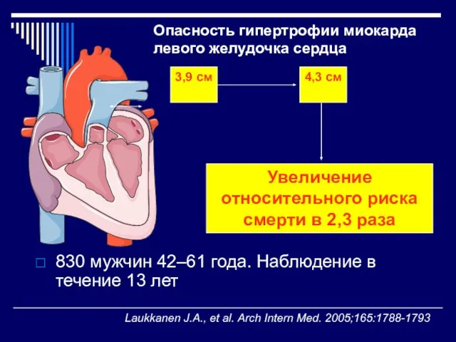 830 мужчин 42–61 года. Наблюдение в течение 13 лет 3,9 см 4,3