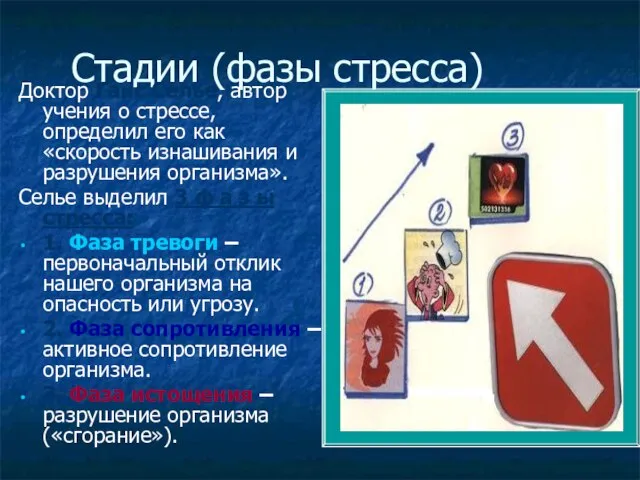 Стадии (фазы стресса) Доктор Ганс Селье, автор учения о стрессе, определил его