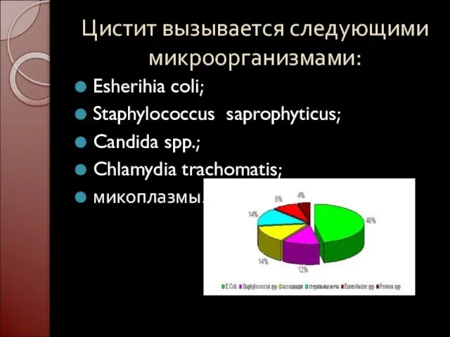 Цистит вызывается следующими микроорганизмами: Esherihia coli; Staphylococcus saprophyticus; Candida spp.; Chlamydia trachomatis; микоплазмы. .