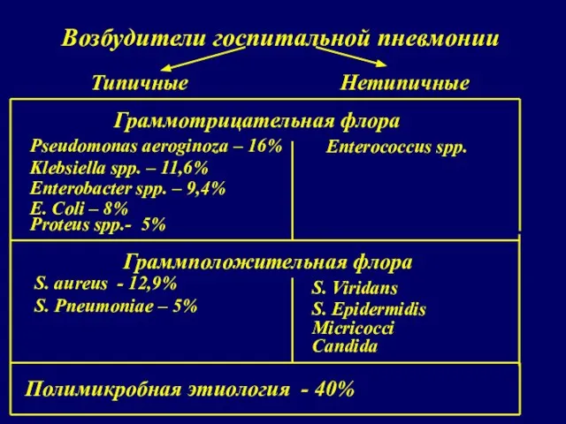 Возбудители госпитальной пневмонии Граммотрицательная флора Pseudomonas aeroginoza – 16% Klebsiella spp. –