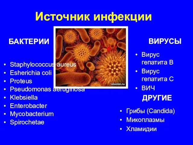 Staphylococcus aureus Esherichia coli Proteus Pseudomonas aeruginosa Klebsiella Enterobacter Mycobacterium Spirochetae Вирус