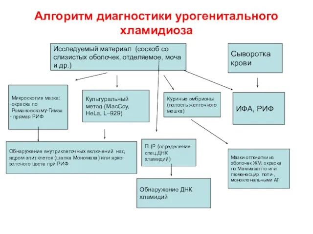 Алгоритм диагностики урогенитального хламидиоза Микроскопия мазка: окраска по Романовскому-Гимза прямая РИФ Культуральный