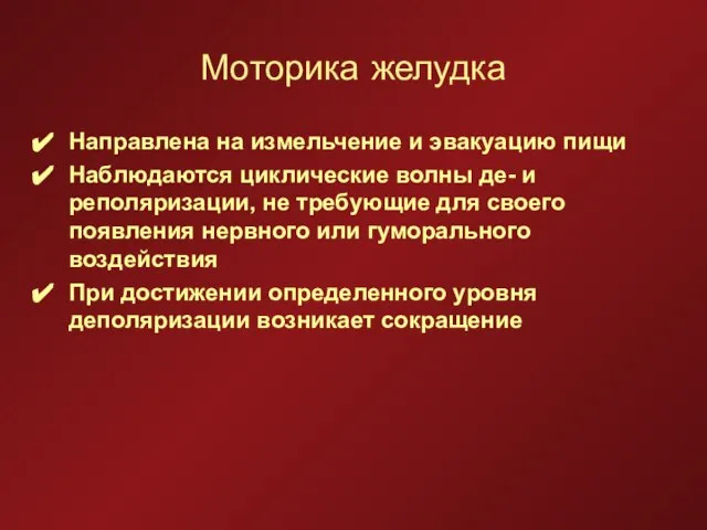 Моторика желудка Направлена на измельчение и эвакуацию пищи Наблюдаются циклические волны де-