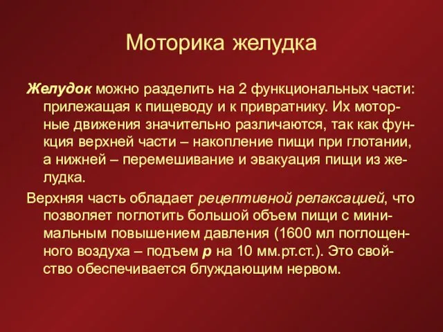 Моторика желудка Желудок можно разделить на 2 функциональных части: прилежащая к пищеводу