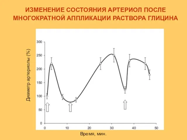 ИЗМЕНЕНИЕ СОСТОЯНИЯ АРТЕРИОЛ ПОСЛЕ МНОГОКРАТНОЙ АППЛИКАЦИИ РАСТВОРА ГЛИЦИНА Время, мин. Диаметр артериолы (%)