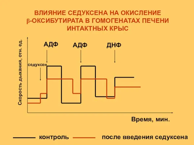 контроль после введения седуксена седуксен АДФ АДФ ДНФ Скорость дыхания, отн. ед.