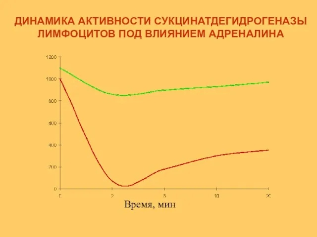 ДИНАМИКА АКТИВНОСТИ СУКЦИНАТДЕГИДРОГЕНАЗЫ ЛИМФОЦИТОВ ПОД ВЛИЯНИЕМ АДРЕНАЛИНА Время, мин