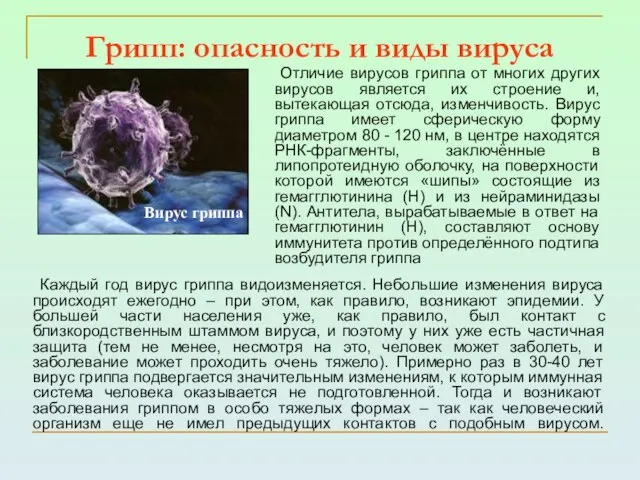 Грипп: опасность и виды вируса Каждый год вирус гриппа видоизменяется. Небольшие изменения