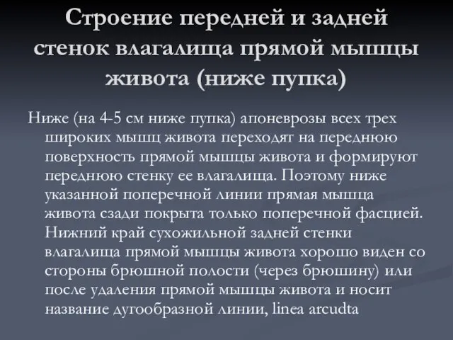 Ниже (на 4-5 см ниже пупка) апоневрозы всех трех широких мышц живота