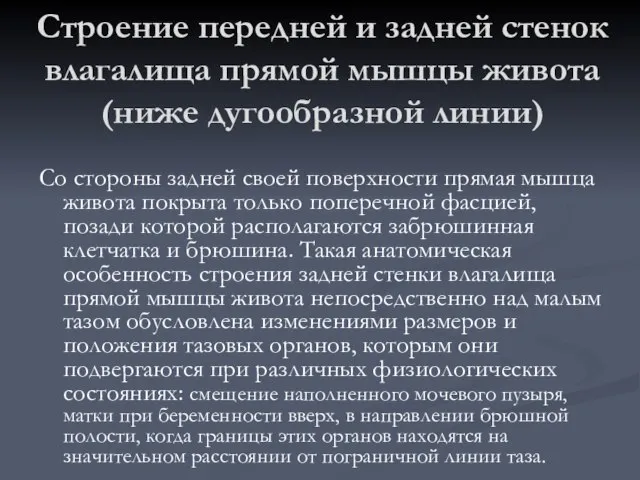 Строение передней и задней стенок влагалища прямой мышцы живота (ниже дугообразной линии)