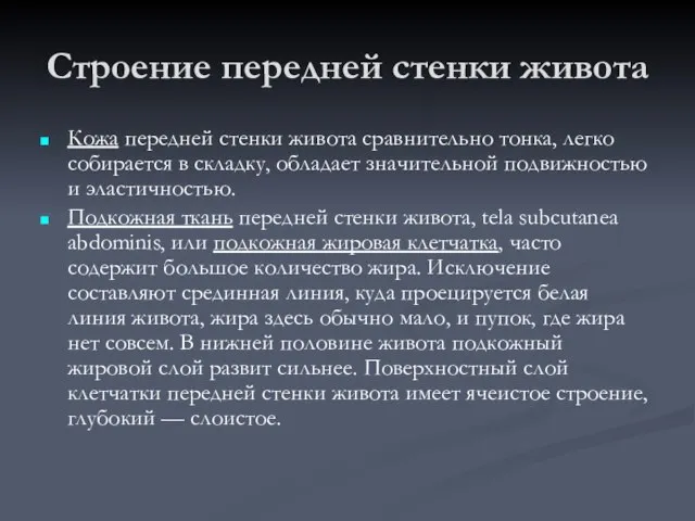 Строение передней стенки живота Кожа передней стенки живота сравнительно тонка, легко собирается