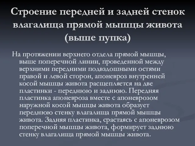 Строение передней и задней стенок влагалища прямой мышцы живота (выше пупка) На