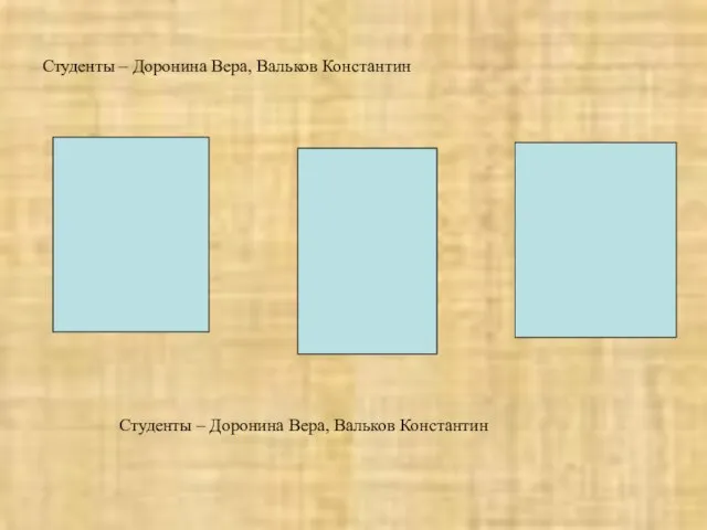 Студенты – Доронина Вера, Вальков Константин Студенты – Доронина Вера, Вальков Константин