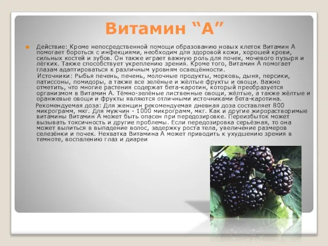 Витамин “A” Действие: Кроме непосредственной помощи образованию новых клеток Витамин А помогает