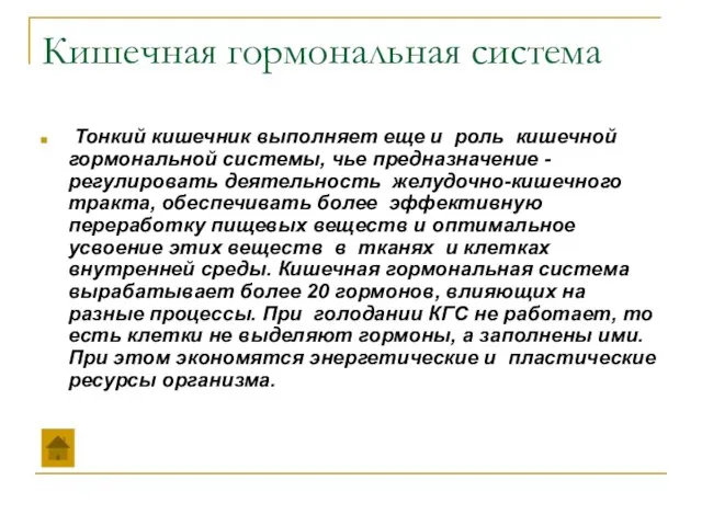 Кишечная гормональная система Тонкий кишечник выполняет еще и роль кишечной гормональной системы,