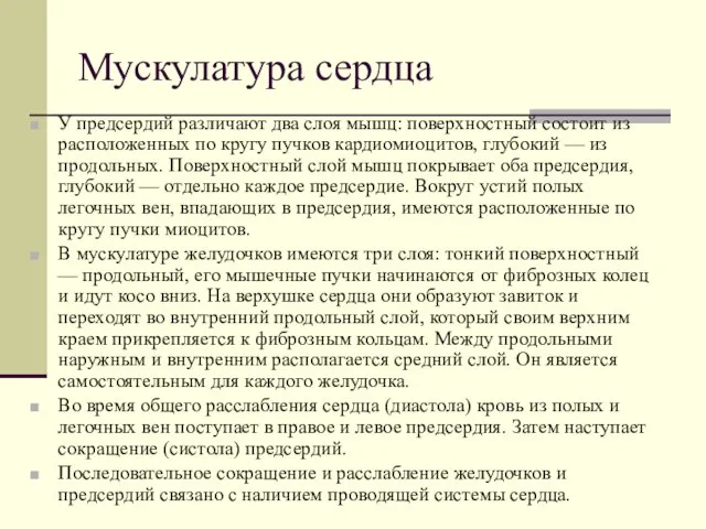 Мускулатура сердца У предсердий различают два слоя мышц: поверхностный состоит из расположенных