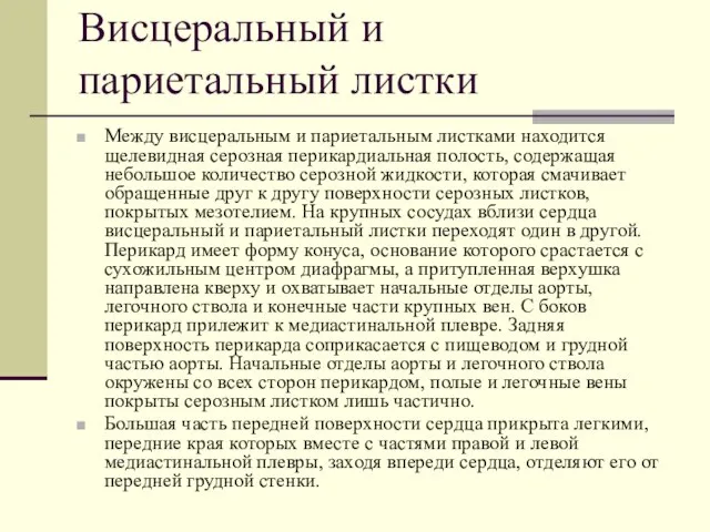 Висцеральный и париетальный листки Между висцеральным и париетальным листками находится щелевидная серозная