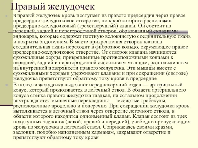 Правый желудочек В правый желудочек кровь поступает из правого предсердия через правое