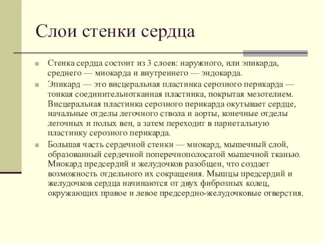 Слои стенки сердца Стенка сердца состоит из 3 слоев: наружного, или эпикарда,