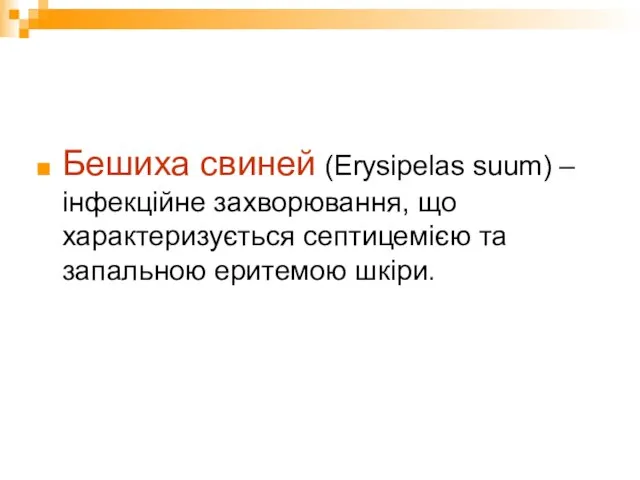 Бешиха свиней (Erysipelas suum) – інфекційне захворювання, що характеризується септицемією та запальною еритемою шкіри.