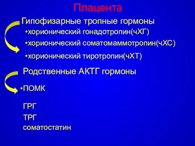 Плацента Гипофизарные тропные гормоны хорионический гонадотропин(чХГ) хорионический соматомаммотропин(чХС) хорионический тиротропин(чХТ) Родственные АКТГ