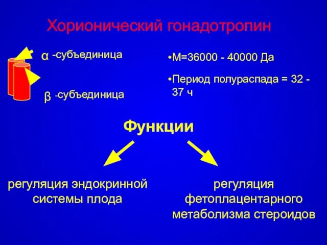 Функции М=36000 - 40000 Да Период полураспада = 32 - 37 ч