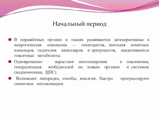 Начальный период В поражённых органах и тканях развиваются дегенеративные и некротические изменения