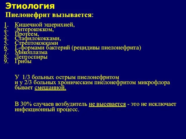 Этиология Пиелонефрит вызывается: Кишечной эшерихией, Энтерококком, Протеем, Стафилококками, Стрептококками L-формами бактерий (рецидивы