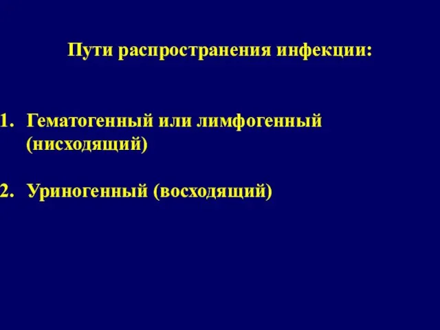 Пути распространения инфекции: Гематогенный или лимфогенный (нисходящий) Уриногенный (восходящий)