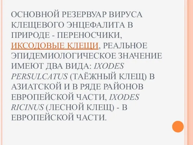 ОСНОВНОЙ РЕЗЕРВУАР ВИРУСА КЛЕЩЕВОГО ЭНЦЕФАЛИТА В ПРИРОДЕ - ПЕРЕНОСЧИКИ, ИКСОДОВЫЕ КЛЕЩИ, РЕАЛЬНОЕ