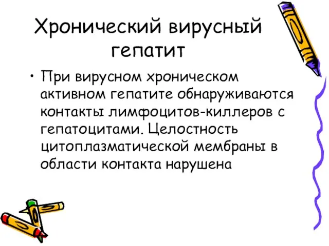 Хронический вирусный гепатит При вирусном хроническом активном гепатите обнаруживаются контакты лимфоцитов-киллеров с