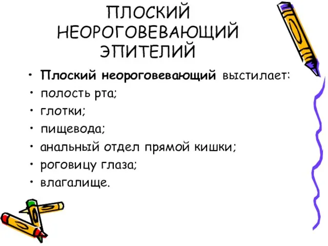 ПЛОСКИЙ НЕОРОГОВЕВАЮЩИЙ ЭПИТЕЛИЙ Плоский неороговевающий выстилает: полость рта; глотки; пищевода; анальный отдел