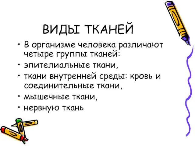 ВИДЫ ТКАНЕЙ В организме человека различают четыре группы тканей: эпителиальные ткани, ткани