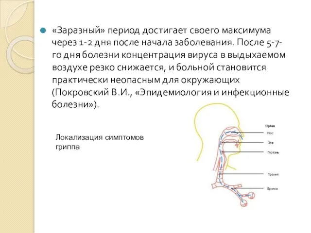 «Заразный» период достигает своего максимума через 1-2 дня после начала заболевания. После