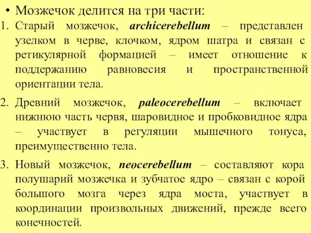 Мозжечок делится на три части: Старый мозжечок, archicerebellum – представлен узелком в