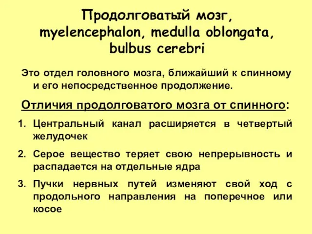 Продолговатый мозг, myelencephalon, medulla oblongata, bulbus cerebri Это отдел головного мозга, ближайший