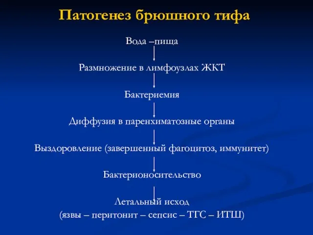 Патогенез брюшного тифа Вода –пища Размножение в лимфоузлах ЖКТ Бактериемия Диффузия в