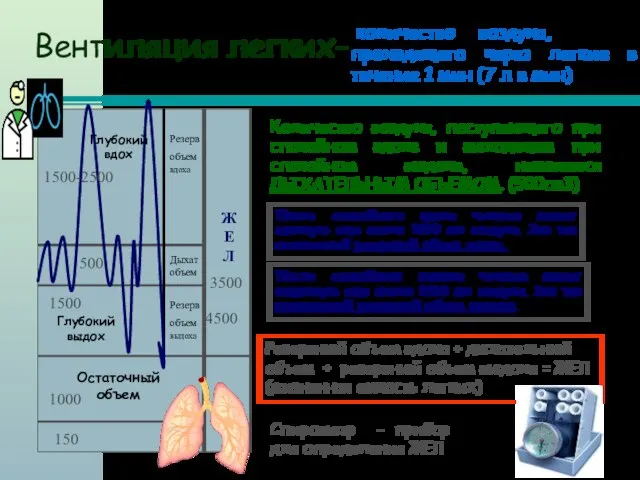 ЖЕЛ Остаточный объем Глубокий выдох Глубокий вдох Резерв объем вдоха Резерв объем