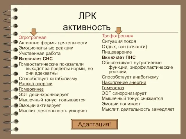 ЛРК активность Эгротропная Активные формы деятельности Эмоциональные реакции Умственная работа Включает СНС