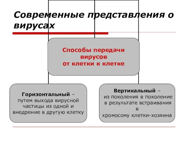 Современные представления о вирусах