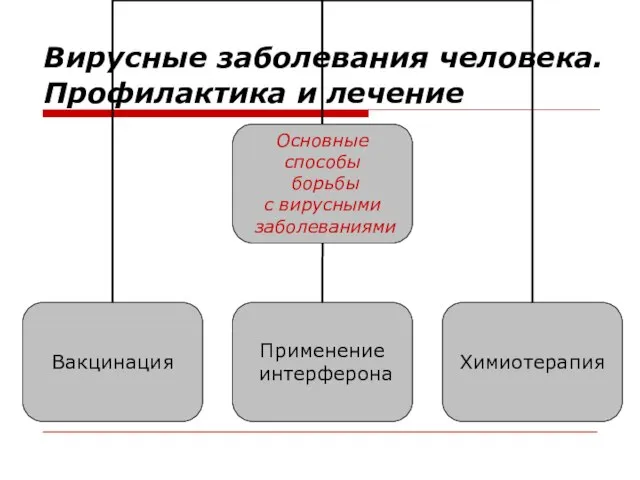 Вирусные заболевания человека. Профилактика и лечение