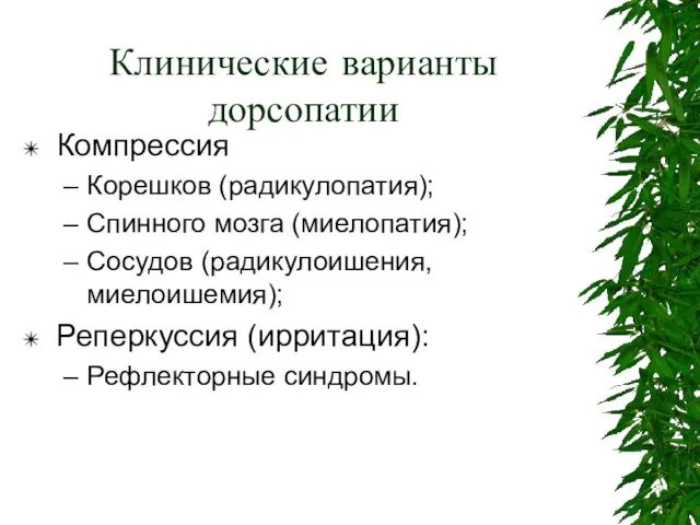 Клинические варианты дорсопатии Компрессия Корешков (радикулопатия); Спинного мозга (миелопатия); Сосудов (радикулоишения, миелоишемия); Реперкуссия (ирритация): Рефлекторные синдромы.