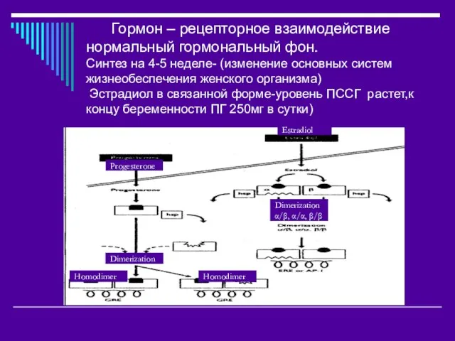 Гормон – рецепторное взаимодействие нормальный гормональный фон. Синтез на 4-5 неделе- (изменение